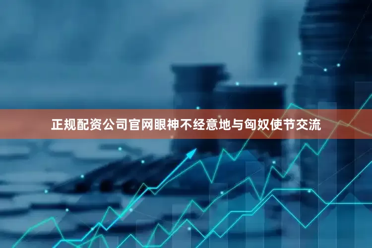 正规配资公司官网眼神不经意地与匈奴使节交流