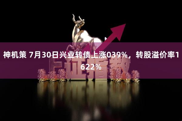 神机策 7月30日兴业转债上涨039%,转股溢价率1622%