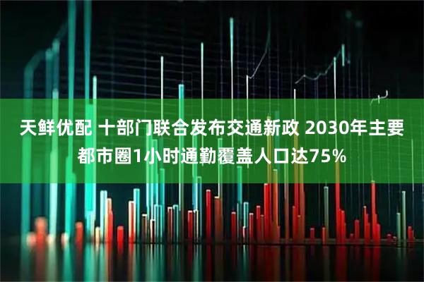 天鲜优配 十部门联合发布交通新政 2030年主要都市圈1小时通勤覆盖人口达75%