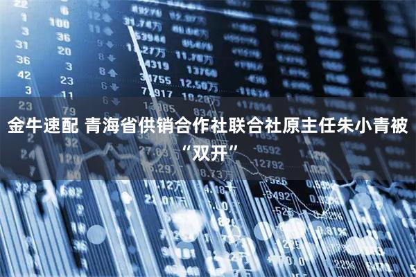 金牛速配 青海省供销合作社联合社原主任朱小青被“双开”