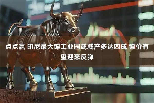 点点赢 印尼最大镍工业园或减产多达四成 镍价有望迎来反弹